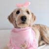 Kitten Love Peach - Image 2