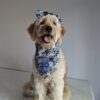 Bad to the Bone Bows - Image 4