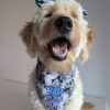 Bad to the Bone Bows - Image 3