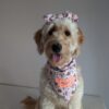 Spooky Cute - Image 2